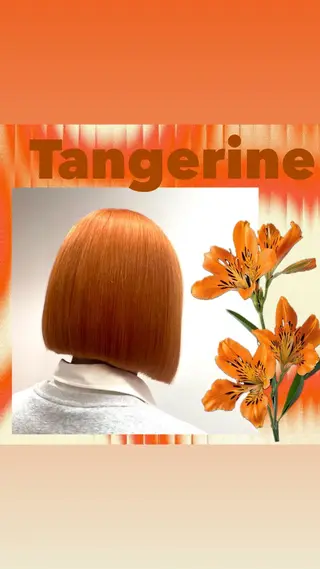 ショート 🌿似合わせブリーチ 小俣　来🌿のヘアスタイル