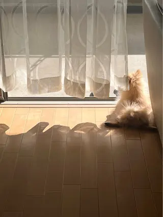 Sona hair & eyelash salon所属・紙屋 隼人のヘアスタイル