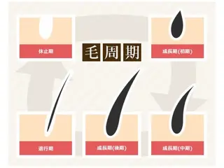 マツエク・マツパ 【パリジェンヌ&マツエク専門店】Lucky U 新小岩店所属・新小岩パリジェンヌ マツエク専門店のその他イメージ