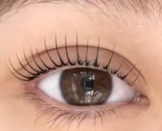 マツエク・マツパ Venus Beauty銀座のマツエク・マツパデザイン