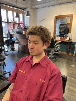 メンズ 早稲田/メンズパーマ /カラー/松井聖虎のヘアスタイル