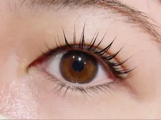 マツエク・マツパ Anela 🦋HARUMIの眉毛・アイブロウイメージ