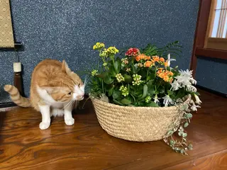 山嵜 まりこのその他イメージ