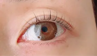 マツエク・マツパ Mua Ayumiのマツエク・マツパデザイン