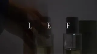 カラー LEF TATEMACHI所属・八村 一花のヘアスタイル