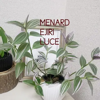 高岡⌇ Ayaka🌻のエステ・リラクイメージ