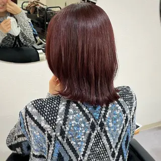 ショート カラー ボブ/透明感カラー /坂口恵梨子のヘアスタイル