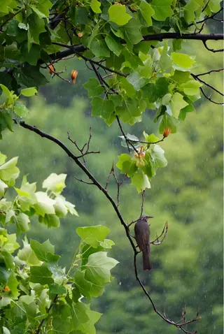 LARUTAN所属・LARUTAN KOYAのエステ・リラクイメージ