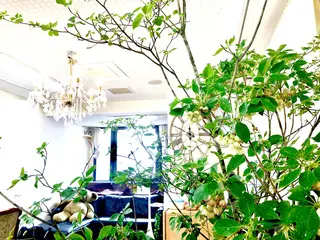 本通り店 ビーナスフォートのマツエク・マツパデザイン