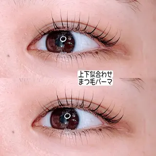 マツエク・マツパ Shain所属・Shain一之江 /ひかり🤍のマツエク・マツパデザイン