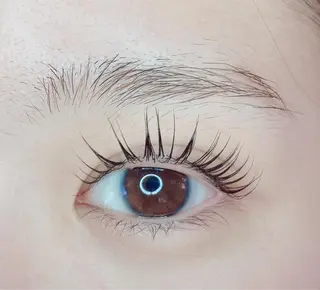 マツエク・マツパ TIARA池袋西口店 店長YASUKA💐のマツエク・マツパデザイン