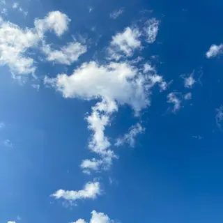 TIDEHAIR SHIHOのヘアスタイル