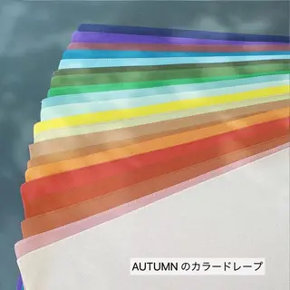 プルメリア MANAMIのその他イメージ