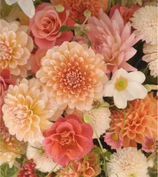 Bless hair &spa所属・🫧縮毛矯正／カラー ／bless松浦🫧のヘアスタイル