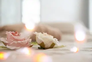 LuLu As所属・LuLu Asのその他イメージ