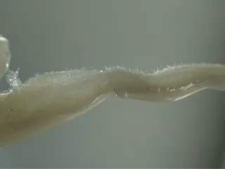 CELINA セリーナのエステ・リラクイメージ