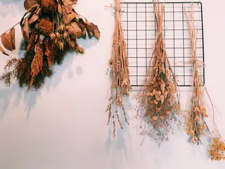 マツエク・マツパ utaeyelash所属・中川 朋美のマツエク・マツパデザイン