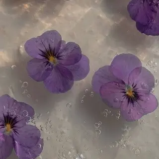 丸山 知夏のその他イメージ