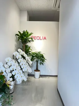 【フェムケア専門店】 PEQLIAセイコのエステ・リラクイメージ