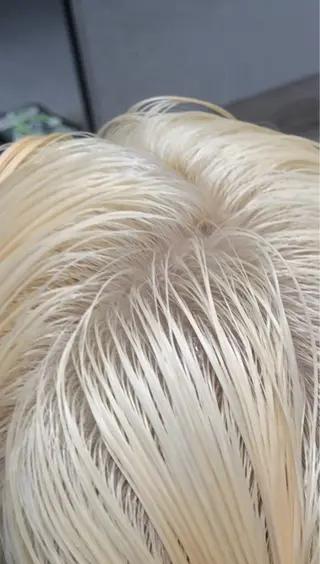 ショート qulim所属・qulim【クリム】 /ハイトーン/海音のヘアスタイル