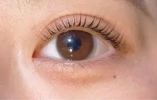 マツエク・マツパ Sylph 川嶋乙羽のマツエク・マツパデザイン