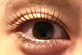 マツエク・マツパ Venus Beauty銀座のマツエク・マツパデザイン