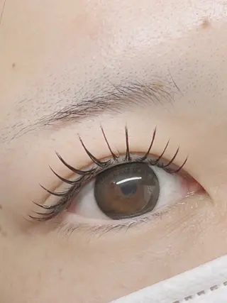マツエク・マツパ Eyelash Hauoliのマツエク・マツパデザイン