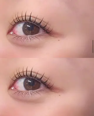 マツエク・マツパ YUWA 【Taylor】のマツエク・マツパデザイン