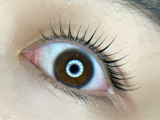 マツエク・マツパ tomte トムテのマツエク・マツパデザイン