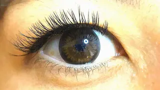 マツエク・マツパ Eyelashsalon   Mayuru所属・Mayuru Yuu‪𖤐.*ﾟのマツエク・マツパデザイン