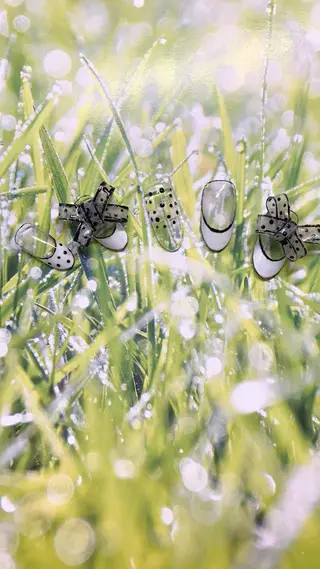 カラー ネイル Moonstone Salon所属・Moonstone Salonのネイルデザイン