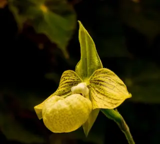 メンズ Masterpiece Body Wellness Center所属・The Owner Of MPのエステ・リラクイメージ