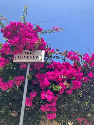 ecarg表参道店 KARIN🌷🫧のマツエク・マツパデザイン