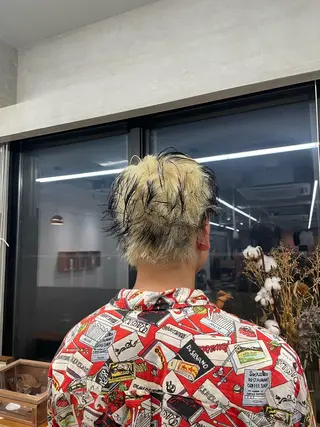 ショート カラー 鶴井 美空のヘアスタイル