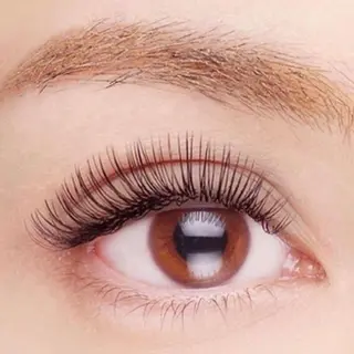 マツエク・マツパ アモロッソ所属・アモロッソ 🐻Miiのマツエク・マツパデザイン