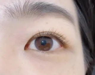 マツエク・マツパ メンズ眉毛サロン THE 3rd HAIR メンズアイブロウ船橋店【眉毛パーマ／まつげパーマ】所属・rei .の眉毛・アイブロウイメージ