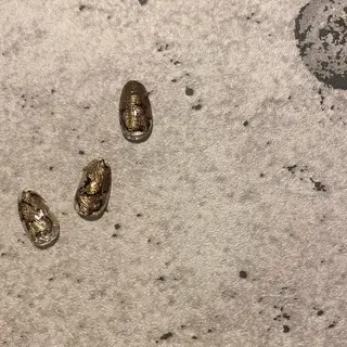 ネイル 49-seek所属・49-seek 松野千恵子のネイルデザイン