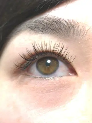 マツエク・マツパ Camel 🐫のマツエク・マツパデザイン