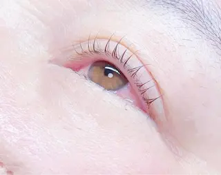 マツエク・マツパ Ayumi.dre 🐹H〈2階〉のマツエク・マツパデザイン