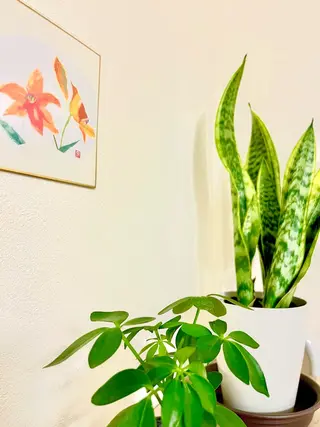 【鍼灸サロン　にった】所属・はりきゅう整体 新田鍼灸院のエステ・リラクイメージ