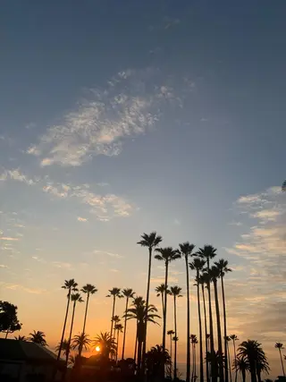 𝘮 𝘢 𝘰 .のマツエク・マツパデザイン