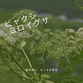 ヨサパーク　温　祐天寺所属・最先端温活・痩身 よもぎ・ハーブ蒸しのエステ・リラクイメージ