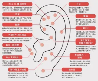 BavardageNail所属・Bavardage Nailのネイルデザイン