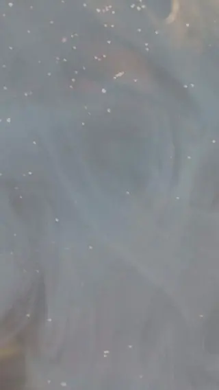 マツエク・マツパ OLIVIA 郷家 ♡のマツエク・マツパデザイン