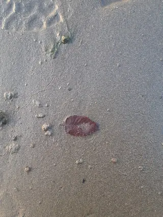 千の樹所属・久保・女性専用 美咲のエステ・リラクイメージ