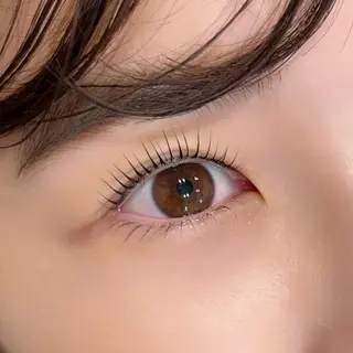 マツエク・マツパ TREE 筒井紫歩のマツエク・マツパデザイン