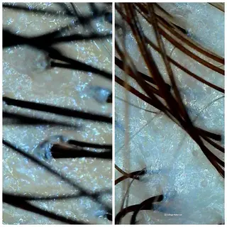 LOUVRE【ルーブル】所属・柴田 久美子のヘアスタイル