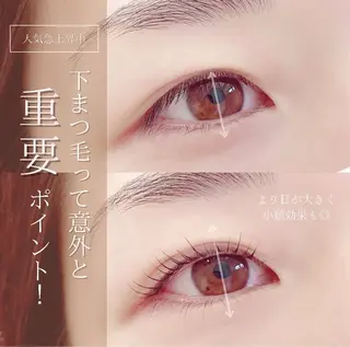 マツエク・マツパ Missíːz所属・南相馬市 Missíːzの眉毛・アイブロウイメージ