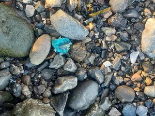 千の樹所属・久保 美咲(女性専用)のエステ・リラクイメージ