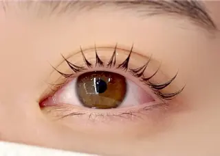 マツエク・マツパ 💕memelu 御影店💕の眉毛・アイブロウイメージ